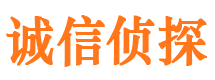 柞水市私家侦探